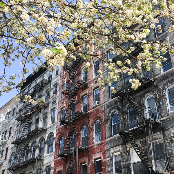 Spring in the neighborhood: Manhattan, New York